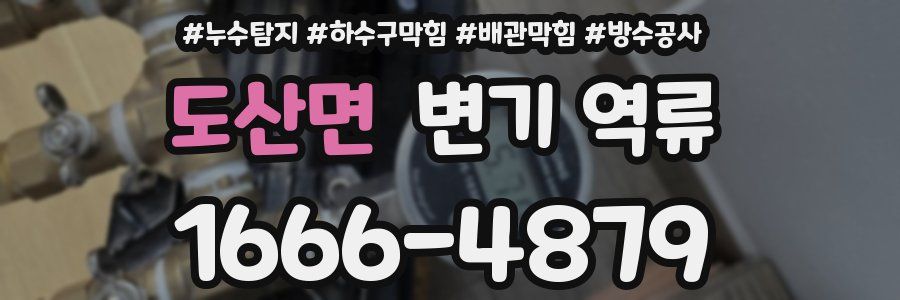도산면 변기 역류