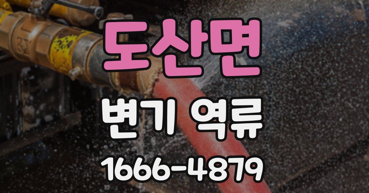 도산면 변기 역류