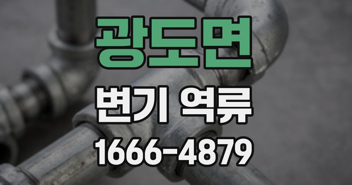 광도면 변기 역류