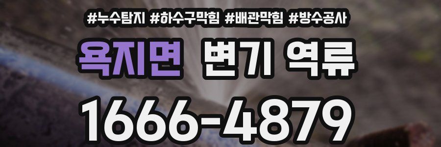 욕지면 변기 역류