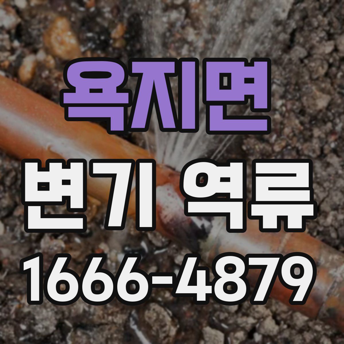 욕지면 변기 역류