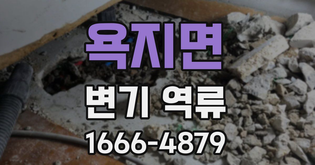 욕지면 변기 역류