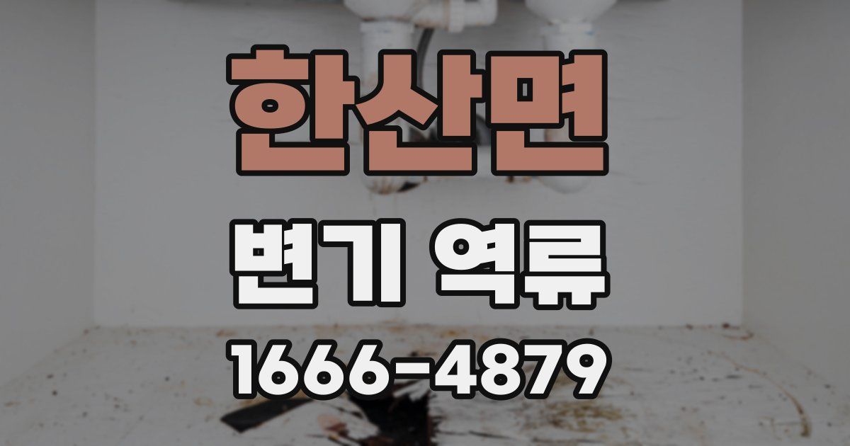 한산면 변기 역류