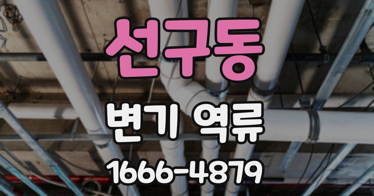 선구동 변기 역류
