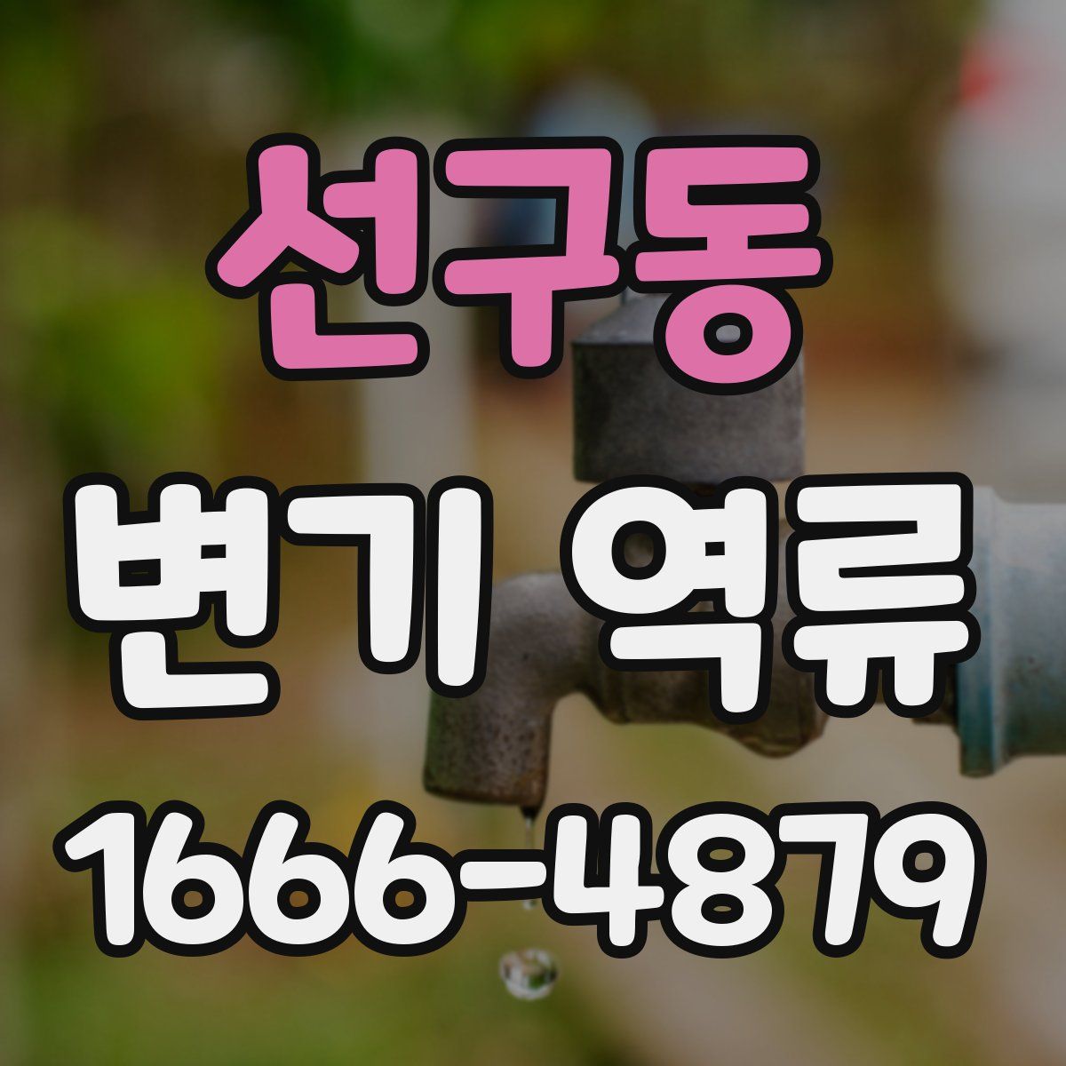 선구동 변기 역류