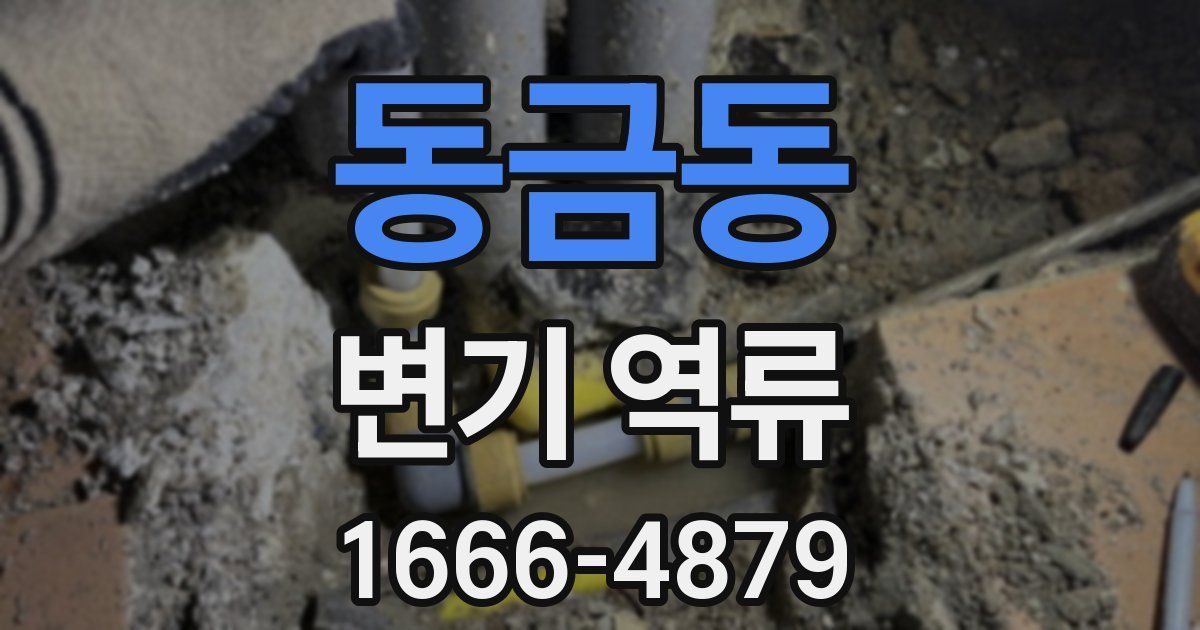동금동 변기 역류