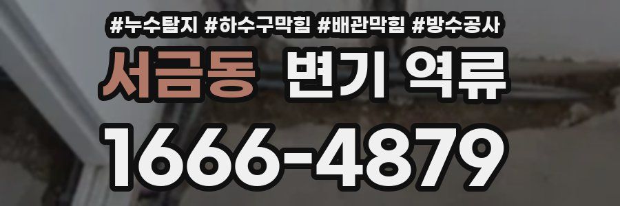 서금동 변기 역류