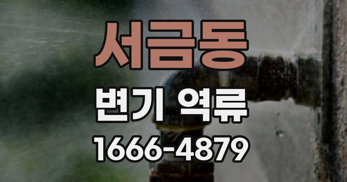 서금동 변기 역류