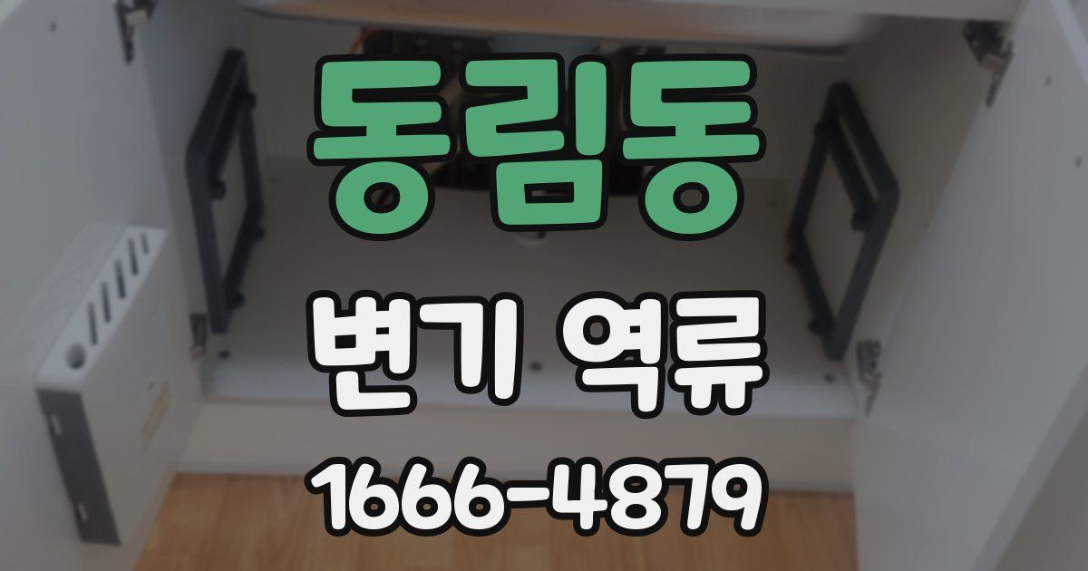 동림동 변기 역류