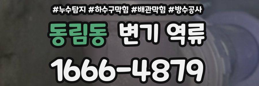 동림동 변기 역류