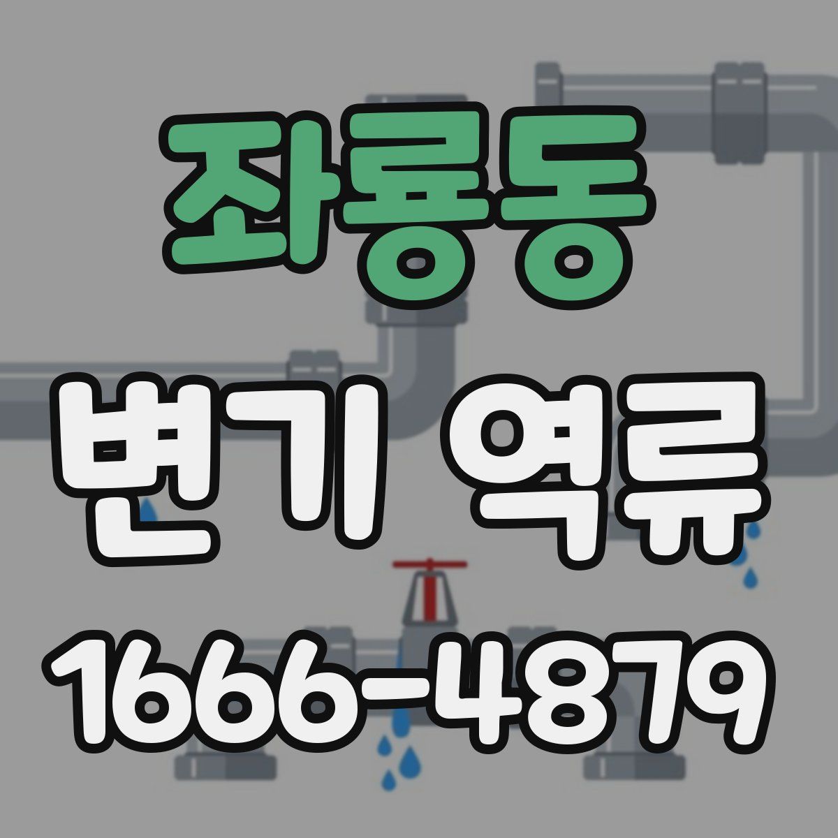 좌룡동 변기 역류