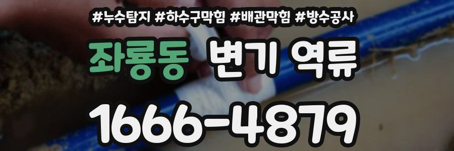 좌룡동 변기 역류