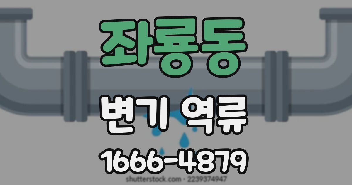 좌룡동 변기 역류