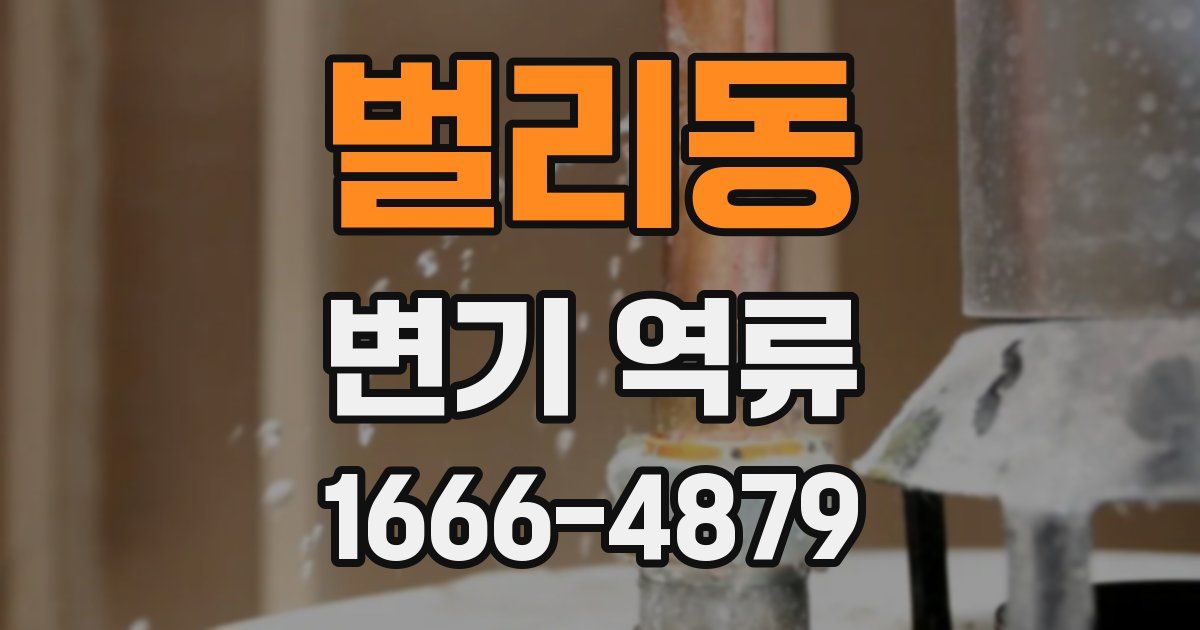 벌리동 변기 역류