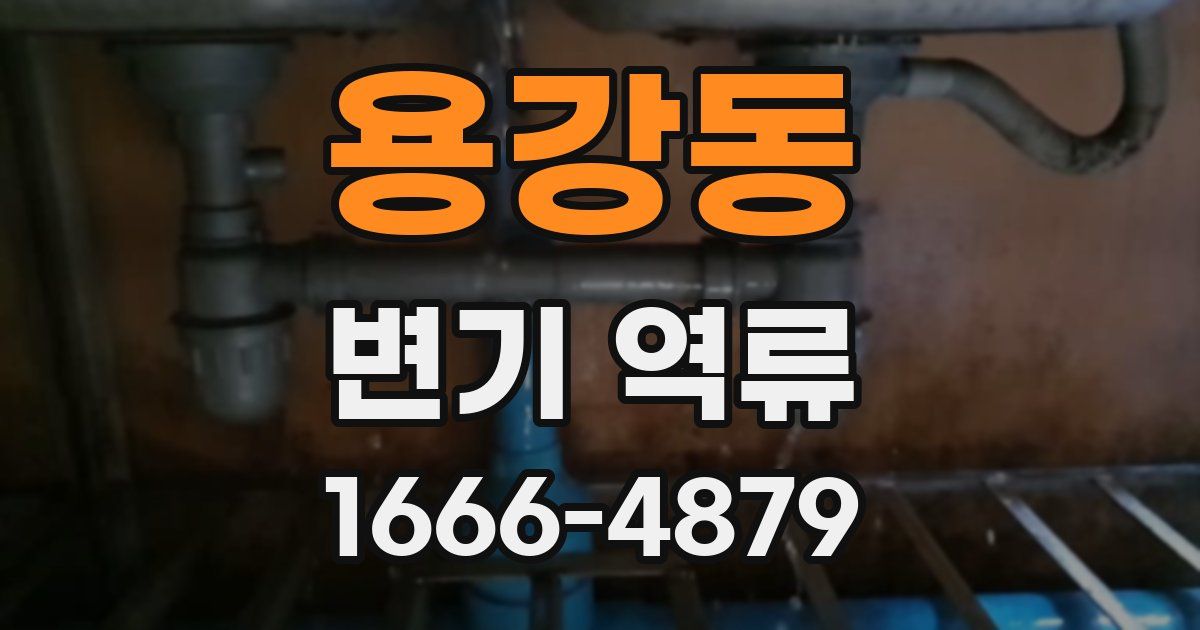 용강동 변기 역류