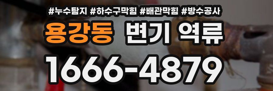 용강동 변기 역류