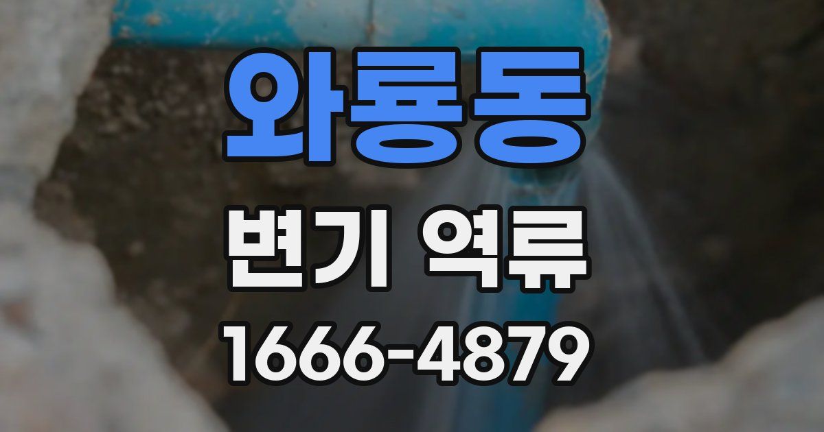 와룡동 변기 역류
