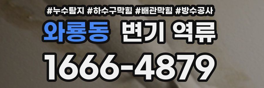 와룡동 변기 역류
