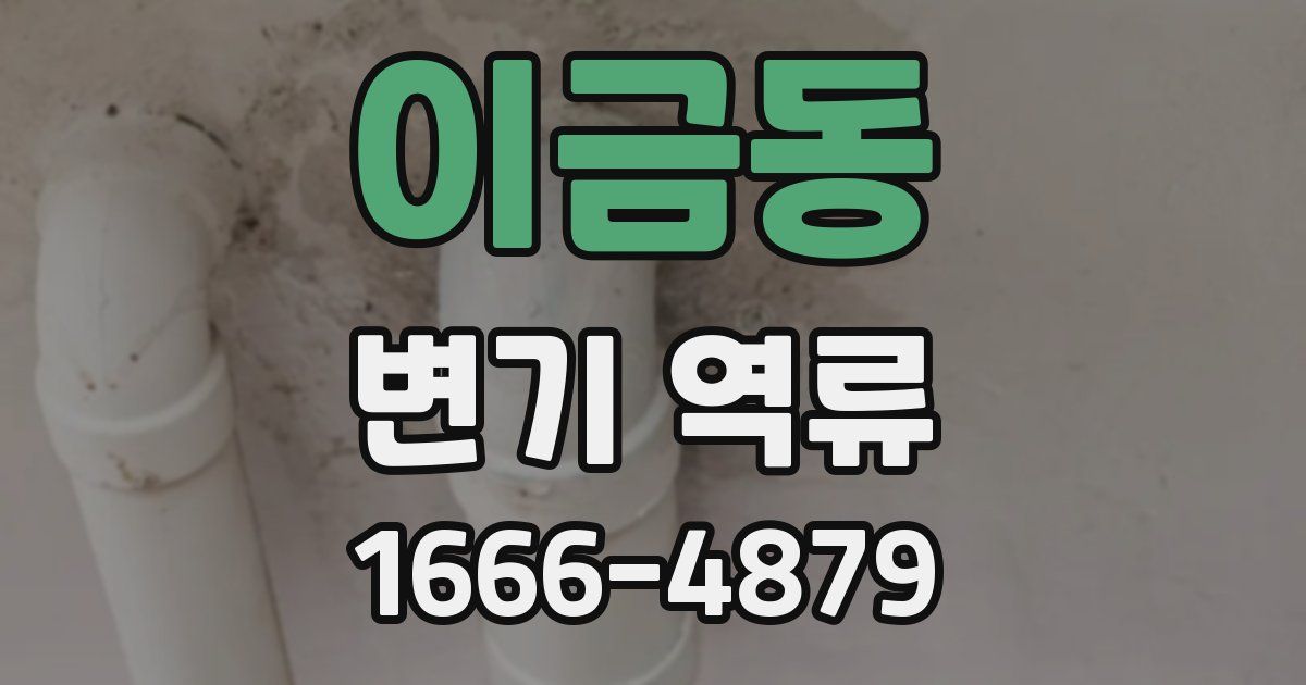 이금동 변기 역류