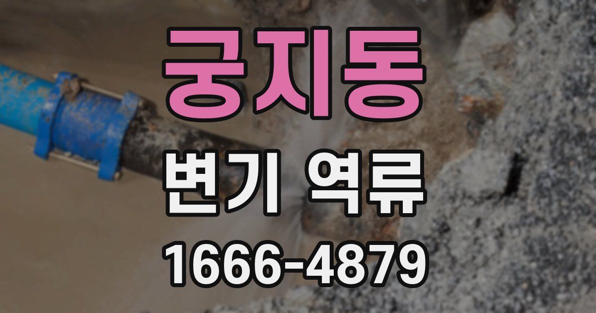 궁지동 변기 역류