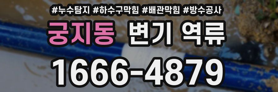 궁지동 변기 역류