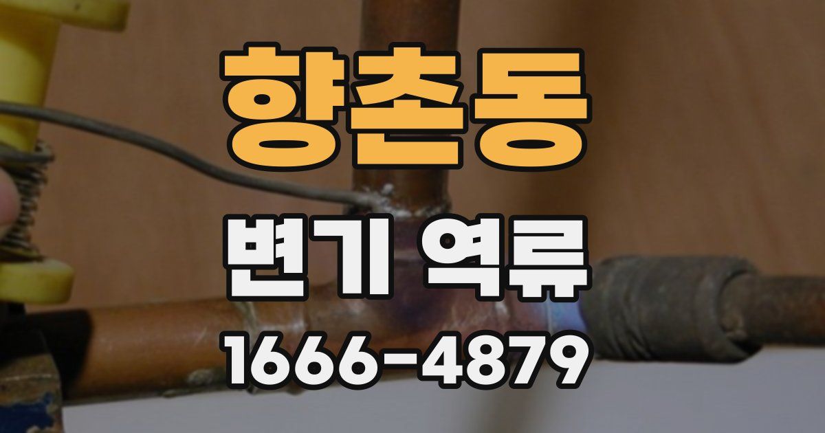 향촌동 변기 역류