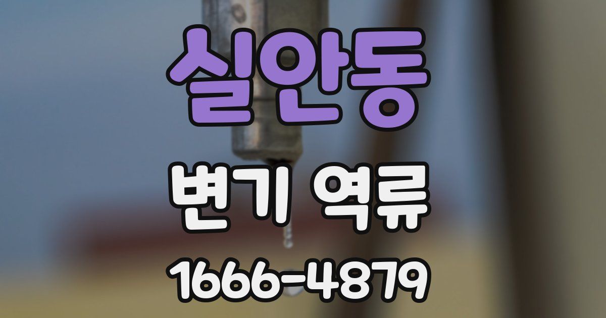 실안동 변기 역류