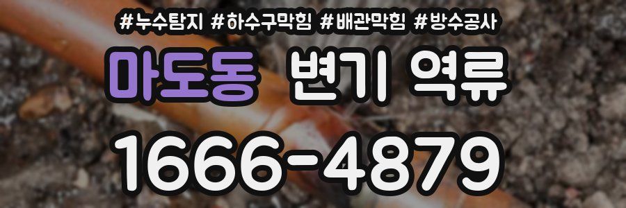 마도동 변기 역류