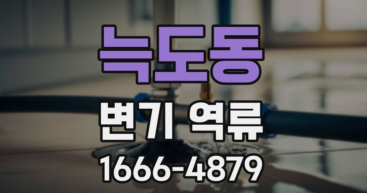 늑도동 변기 역류