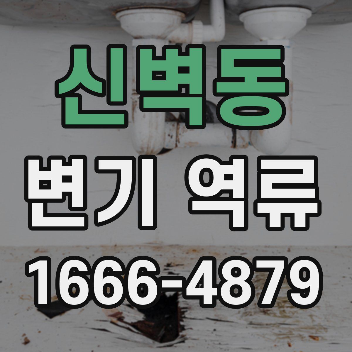 신벽동 변기 역류