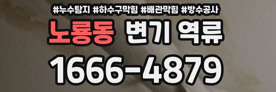 노룡동 변기 역류