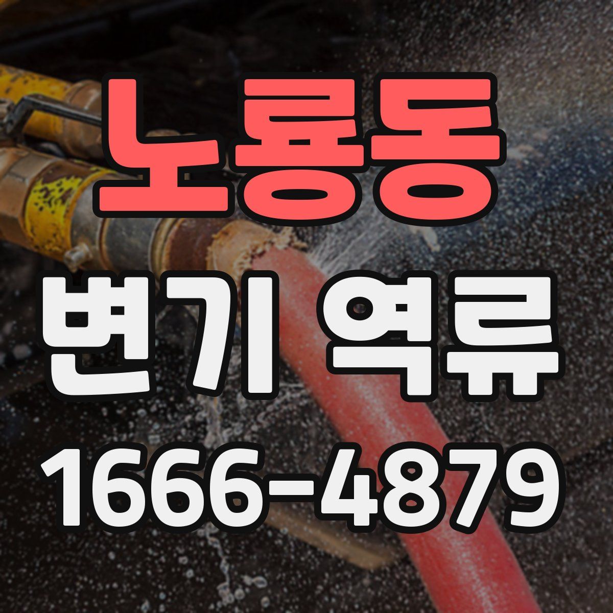 노룡동 변기 역류