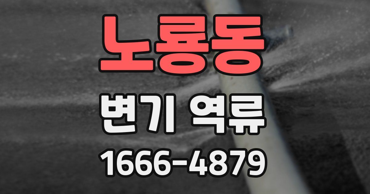노룡동 변기 역류
