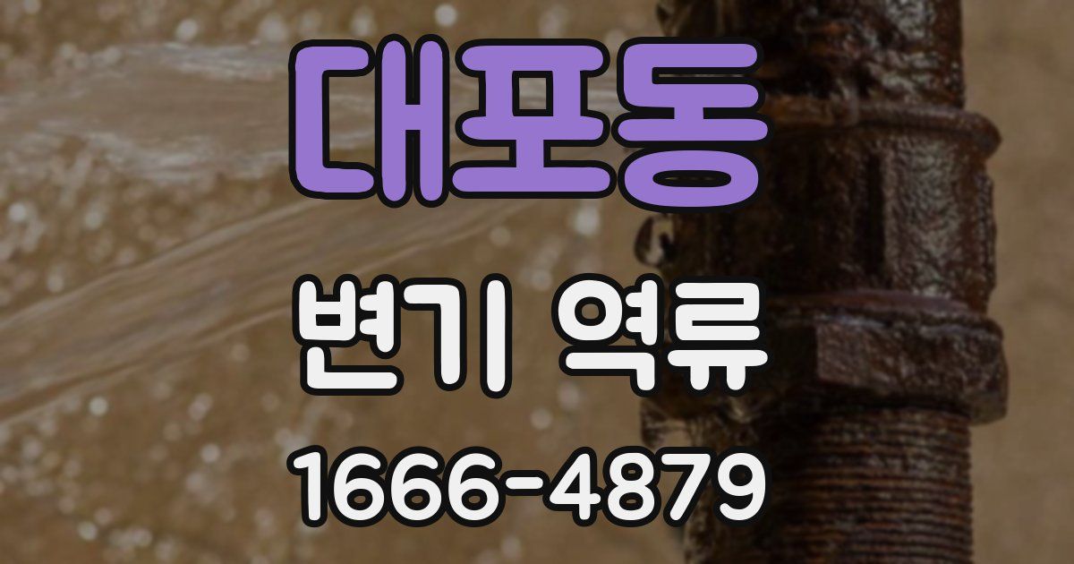 대포동 변기 역류
