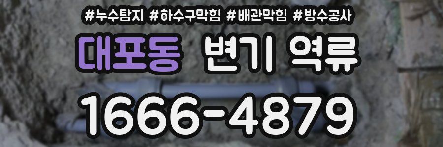 대포동 변기 역류