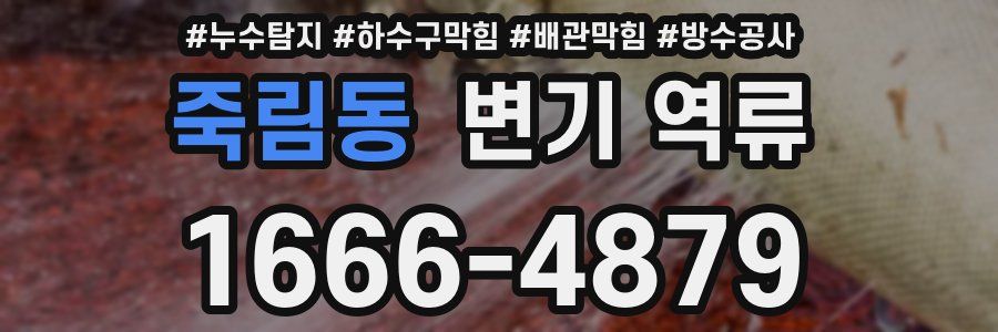 죽림동 변기 역류