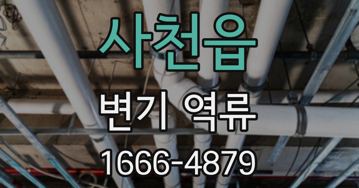 사천읍 변기 역류
