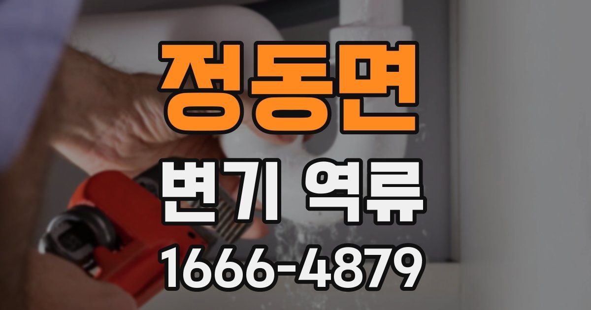 정동면 변기 역류