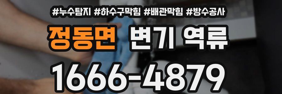 정동면 변기 역류