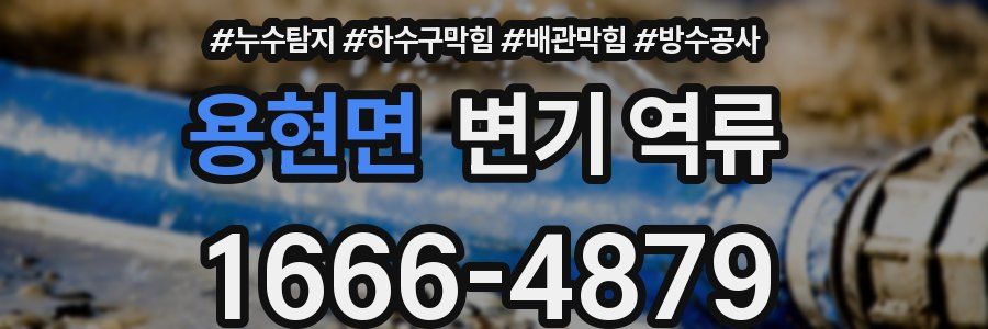 용현면 변기 역류