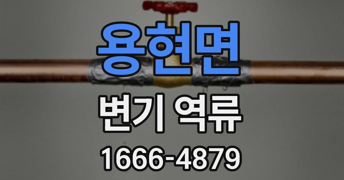 용현면 변기 역류