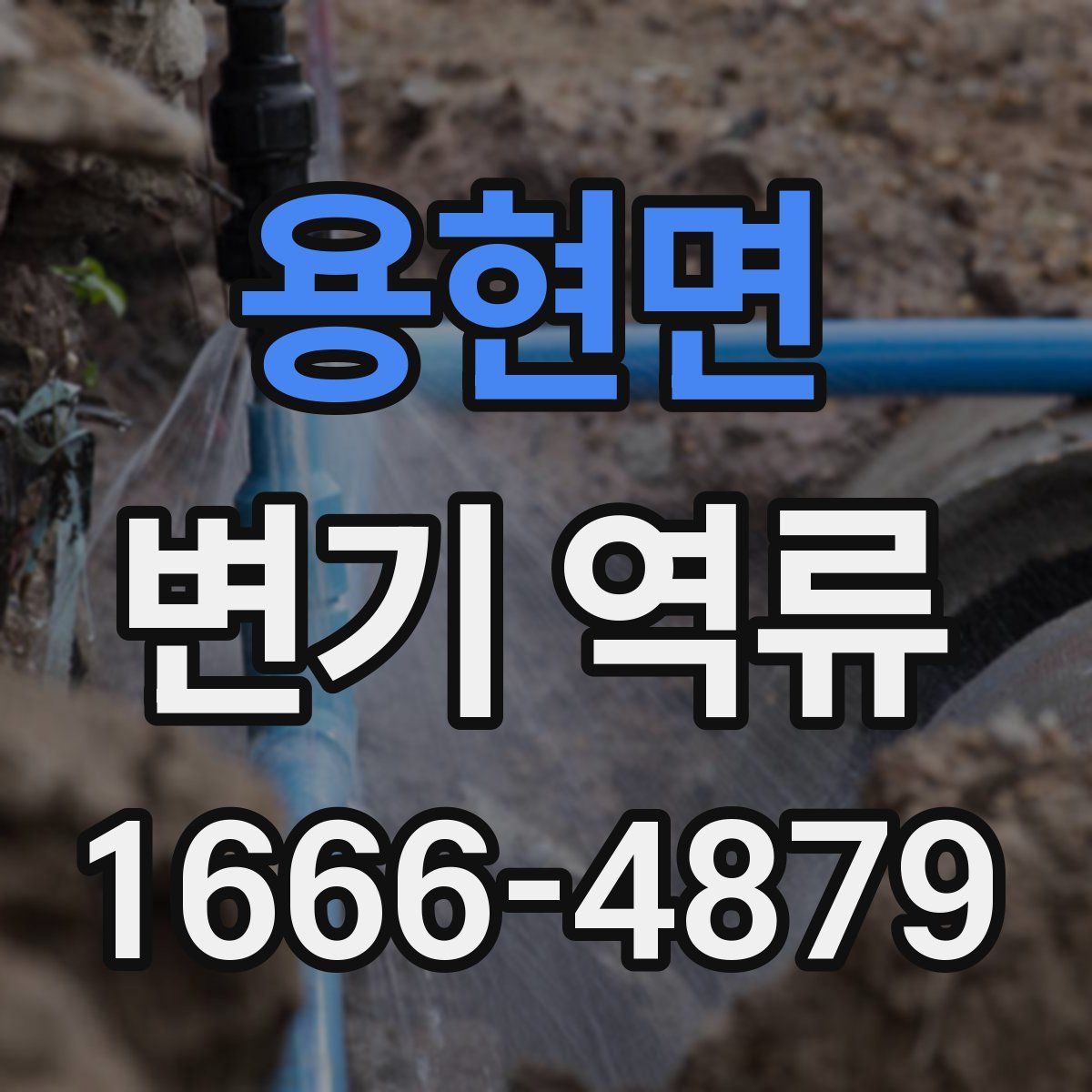 용현면 변기 역류
