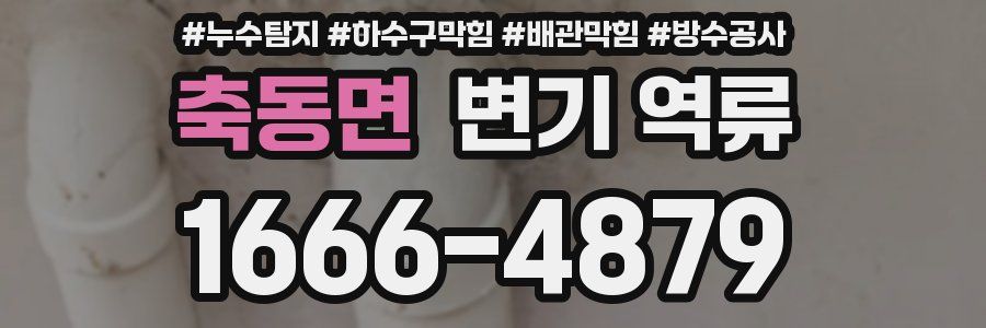 축동면 변기 역류