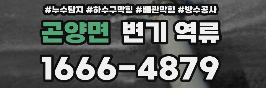 곤양면 변기 역류
