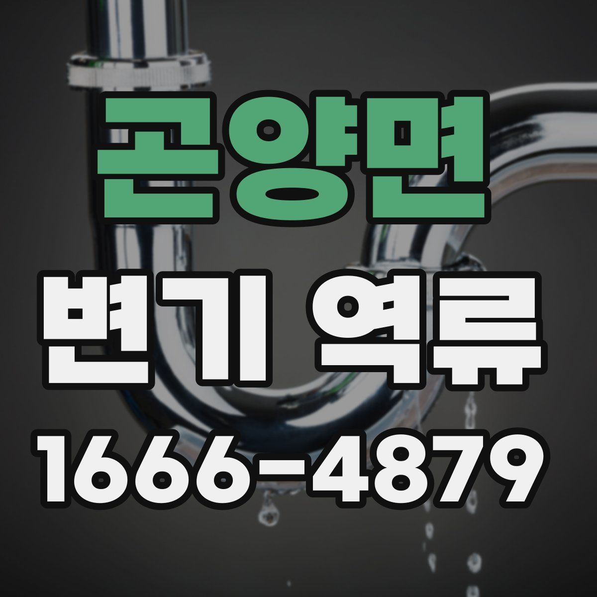 곤양면 변기 역류