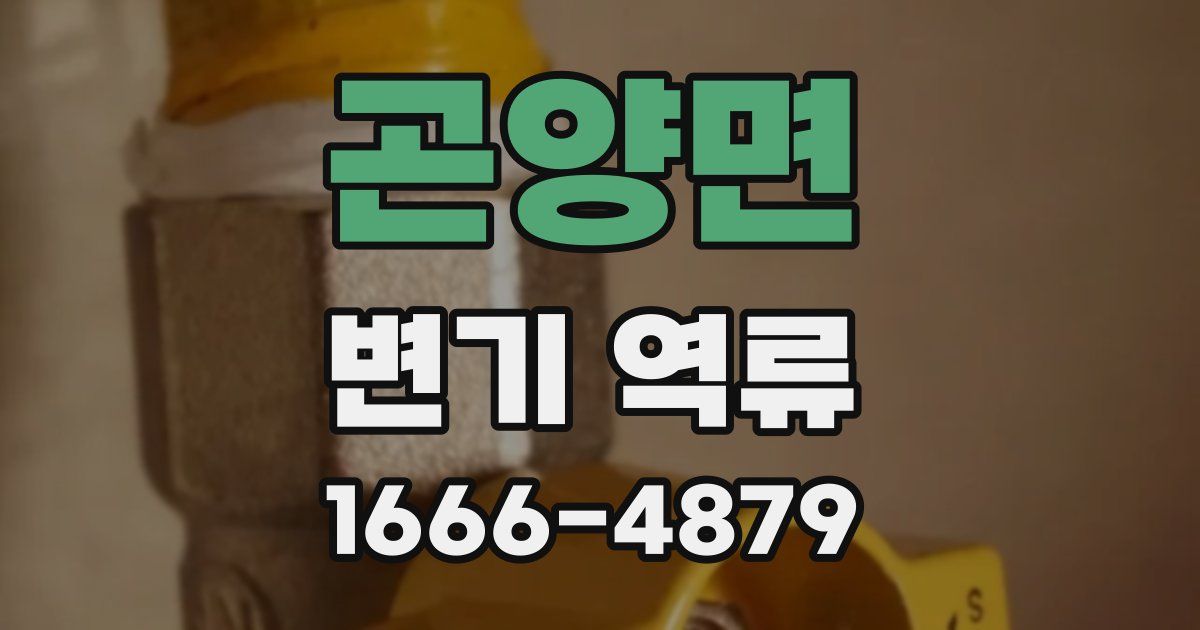 곤양면 변기 역류