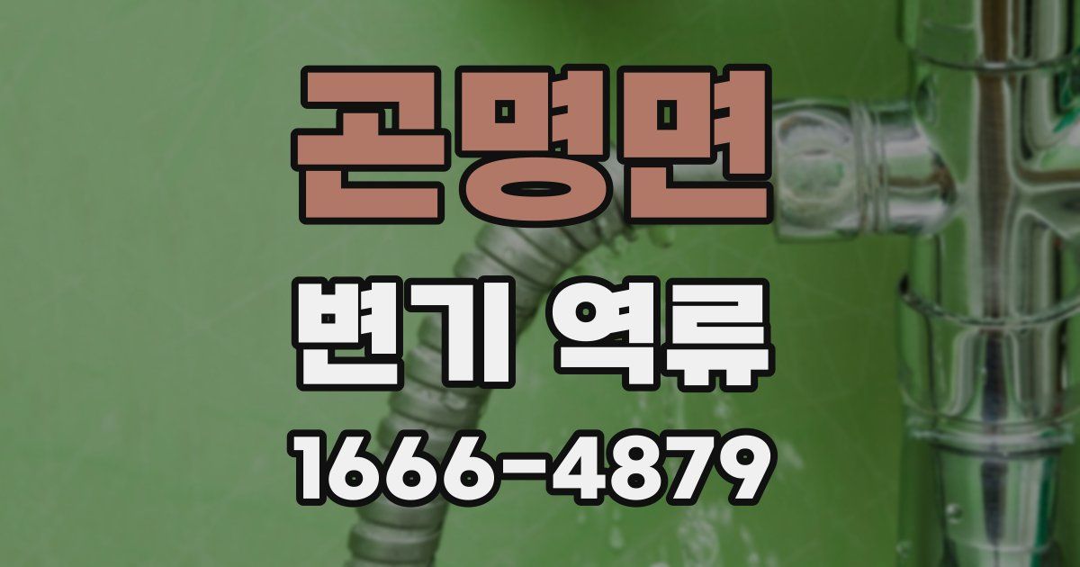 곤명면 변기 역류