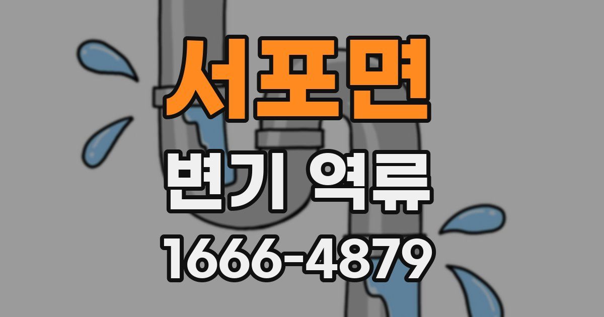 서포면 변기 역류