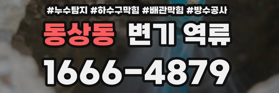 동상동 변기 역류