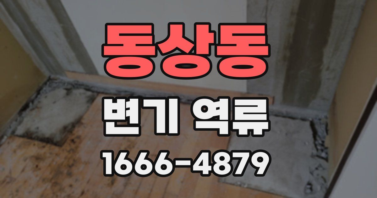 동상동 변기 역류